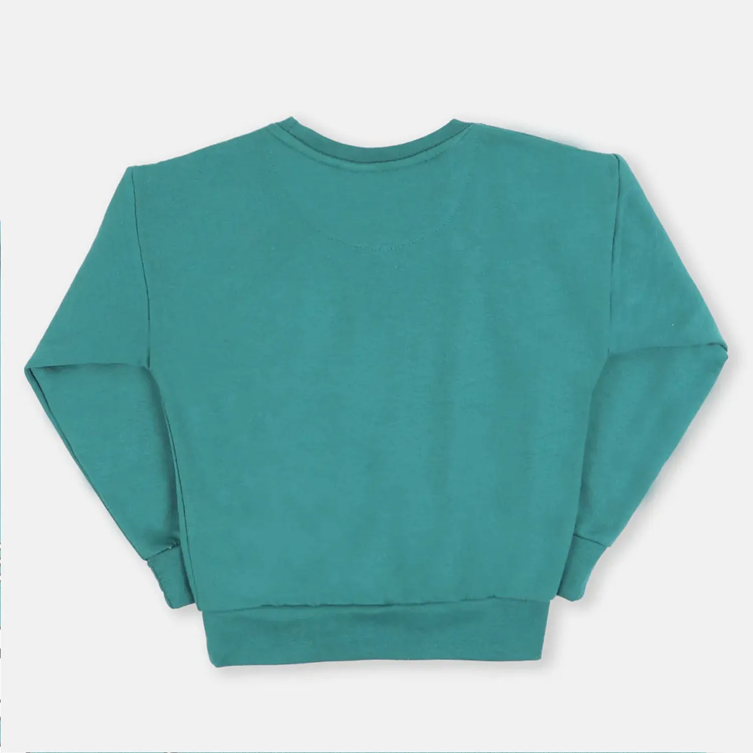 Boys Sweatshirt Skate Character Print- Neptune Green