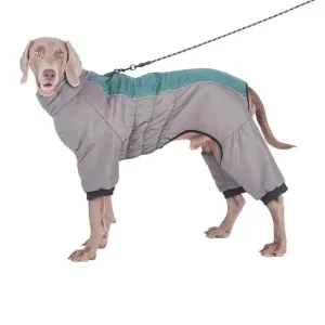Labrador Winter Coat