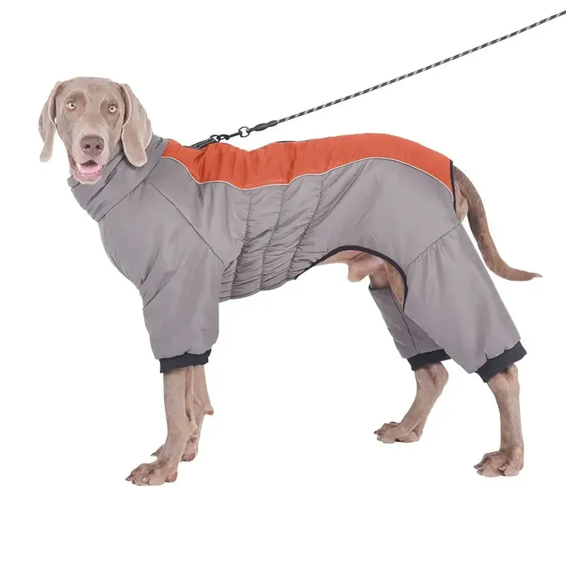 Labrador Winter Coat
