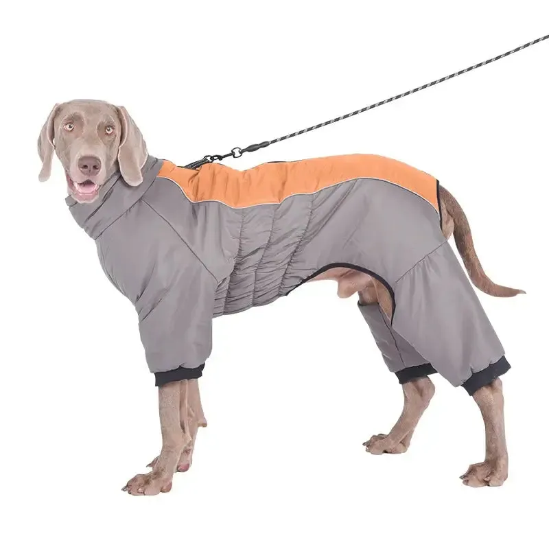 Labrador Winter Coat