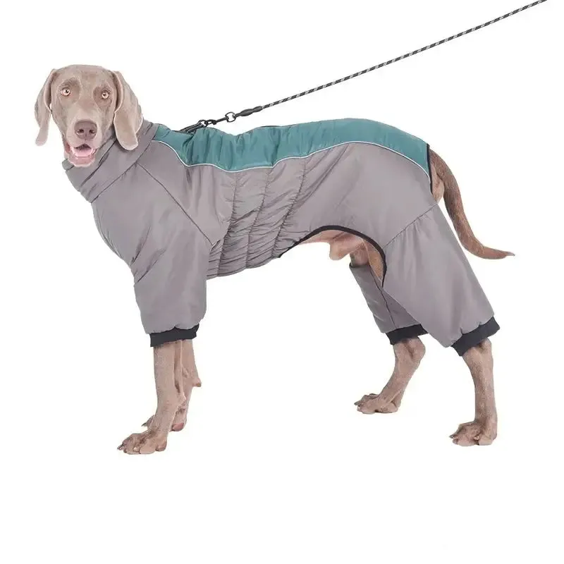Labrador Winter Coat