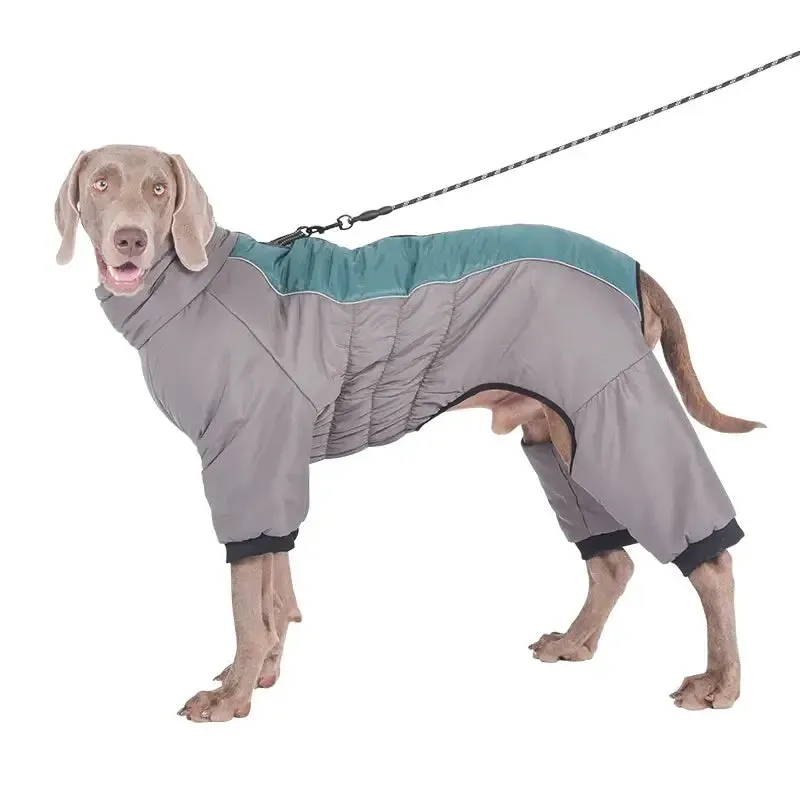 Labrador Winter Coat